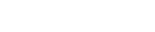NetAngel Logo